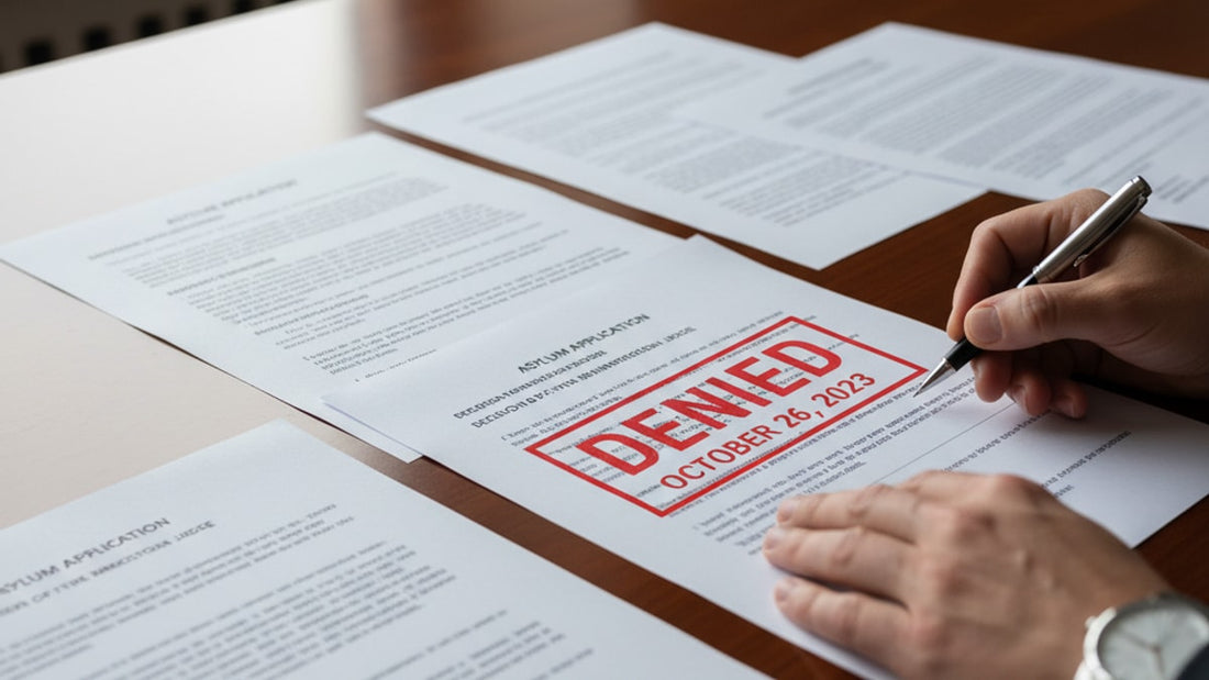 asylum denial reasons - Professional illustration