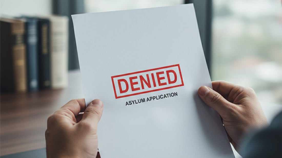 asylum denied options - Professional illustration